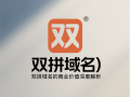 20个拼音域名深度解析：行业适配+创意溢价+投资指南全揭秘！