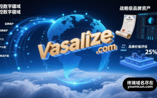 英文单词精品域名Vassalize.com：掌控数字疆域，铸就战略级品牌资产