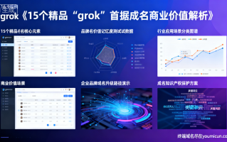 15个精品“grok”前缀域名商业价值解析