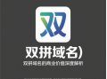 如何选择拼音域名？推荐几条实用指南与策略