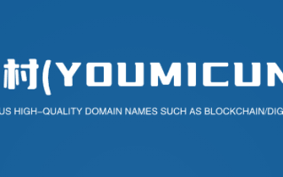 出售四字母超短精品域名yypa.com