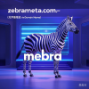 斑马跃动元宇宙：zebrameta.com引领未来新风尚