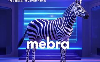 斑马跃动元宇宙：zebrameta.com引领未来新风尚