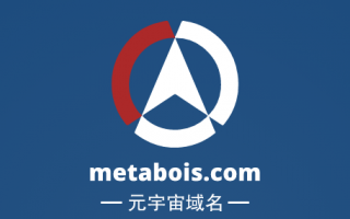 元宇宙啥域名好,metabois.com邀你来品鉴点评