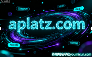 创意域名aplatz.com深度解析与商业价值评估