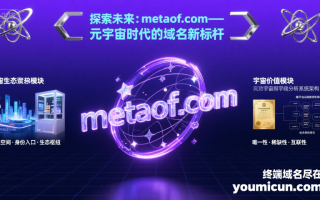 探索未来：metaof.com—— 元宇宙时代的域名新标杆