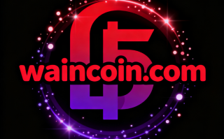 加密货币域名waincoin.com深度解析与商业价值评估