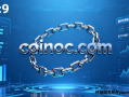 数字货币域名coinoc.com深度解析与商业使用价值评估报告