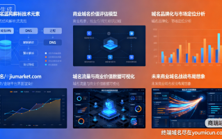 域名“jiumarket.com”解析与商业价值点评