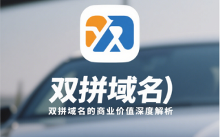 数字时代拼音域名选择全攻略：品牌价值与流量双赢