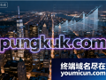 创意域名pungkuk.com深度解析与商业价值评估