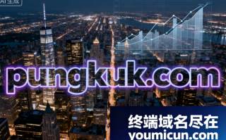 创意域名pungkuk.com深度解析与商业价值评估