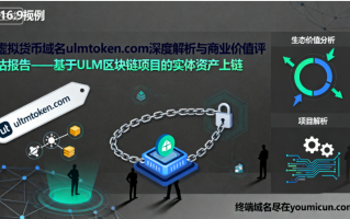 虚拟货币域名ulmtoken.com深度解析与商业价值评估报告 虚拟货币域名ulmtoken.com深度解析与商业价值评估报告