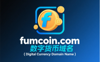 虚拟货币域名fumcoin.com——数字金融时代的价值迷雾与财富灯塔