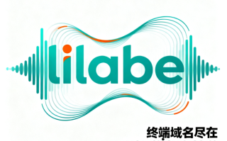 创意域名lilabe.com深度解析与商业价值评估