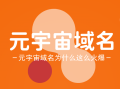 元宇宙啥域名好,metafiz.com邀你来品鉴点评