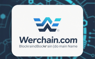 链动未来——werchain.com：区块链时代的数字资产皇冠