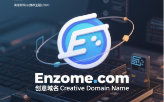 创意域名Enzome.com：生命数字的代码本
