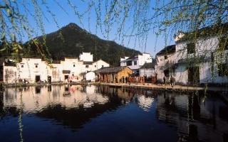 2025年11月15个精品域名推荐：元宇宙/区块链/电商领域高潜力投资标的解析