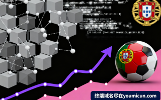 虚拟货币域名porocoin.com深度解析与商业价值评估报告 虚拟货币域名porocoin.com深度解析与商业价值评估报告