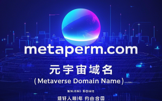 metaperm.com：元宇宙时代的权限之门