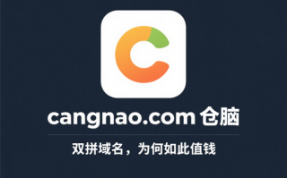 双拼域名cangnao.com仓脑——智链万物，定义仓储新纪元