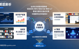 域名投资价值逐一解析（域名投资 / 图书 / 地域兰溪 / 考研 / IoT 等赛道）