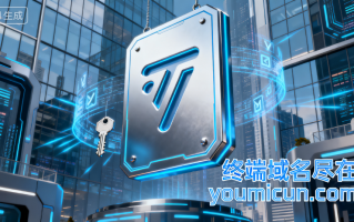 域名：互联网的数字门牌与网络身份密码