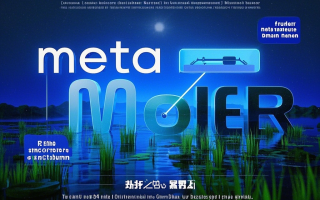元宇宙域名metamoor.com：元宇宙中的智慧绿洲