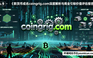 数字货币域名coingrig.com深度解析与商业使用价值评估报告