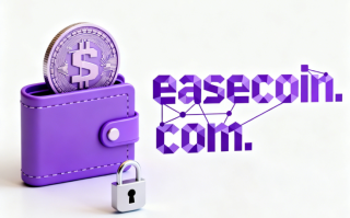 数字货币域名“easecoin.com”深度解析与商业价值评估