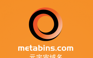 元宇宙域名用啥好,metabins.com等你来挑选