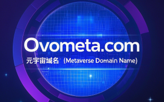 解锁未来：探索元宇宙域名Ovometa.com的无限可能