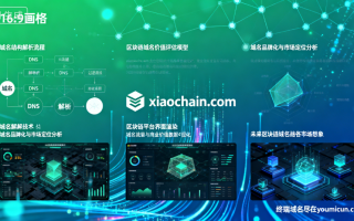区块链域名“xiaochain.com”解析与商业价值点评