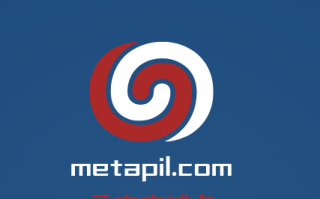 元宇宙啥域名好,metapil.com邀你来品鉴点评