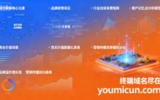 创意域名“adupay.com”深度解析与商业价值评估