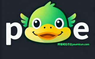 域名paoe.com（跑鹅/炮鹅） 域名深度解析与商业价值评估