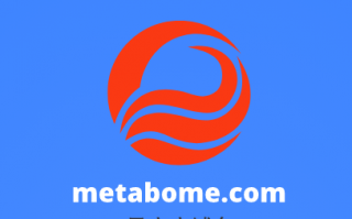 元宇宙啥域名好,metabome.com邀你来品鉴点评