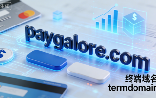 支付主题的终端域名paygalore.com深度解析