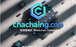 链动变革，域启新篇——chachaing.com区块链域名全球首发推荐