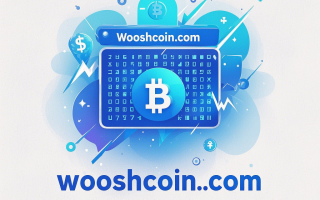 wooshcoin.com——抢占数字金融制高点的战略域名