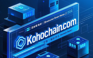 抢占区块链高地，kohochain.com助您领航未来