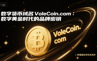 数字货币域名VoleCoin.com：数字黄金时代的品牌密钥