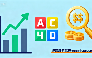 你如何看待四字母域名投资？你手上有四字母域名吗？