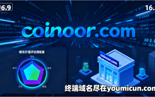 数字货币域名coinoor.com深度解析与商业使用价值评估报告