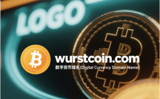 虚拟货币域名wurstcoin.com——数字货币浪潮中的品牌明珠与价值锚点