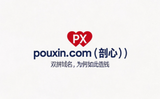 双拼域名pouxin.com——直击本质，定义品牌深度