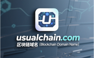 链启未来，域鉴非凡——usualchain.com区块链域名全球首发推荐
