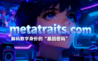 元宇宙域名metatraits.com推荐语：解码数字身份的“基因密码”