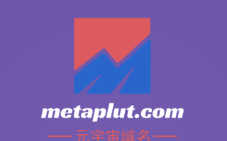 元宇宙啥域名好,metaplut.com值得你拥有